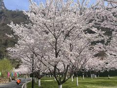 -高岚大峡谷旅游度假区