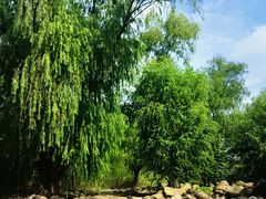 -长广溪湿地公园