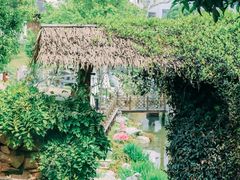 -杏花村文化旅游区