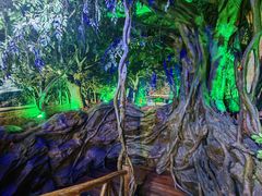 -上海昆虫博物馆