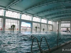 -小海豚国际游泳培训中心(浦东源深体育中心店)