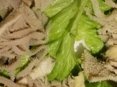 -刘一锅筋头巴脑(小北店)