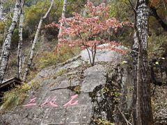 -驼梁风景区