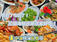 -小海豚•老字号海鲜餐厅(天涯店)