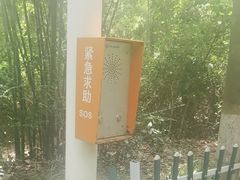 -紫马岭公园