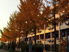 -山东大学(兴隆山校区)