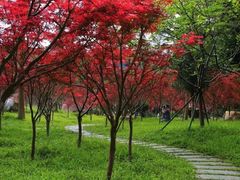-广州市帽峰山景区