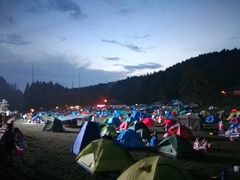 -武陵山森林公园