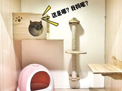 -Double Rui宠物酒店