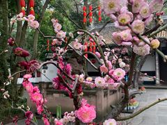 -成都杜甫草堂博物馆