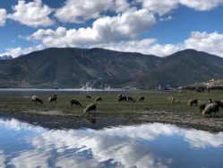 -纳帕海依拉草原