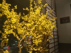 -上足·影院足道·SPA(红岭店)
