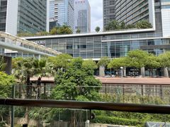 -金戈戈香港豉油鸡(皇庭广场店)