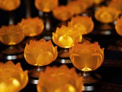 -报恩寺(平武县)