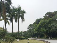-三水森林公园