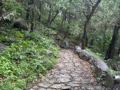 -阳台山自然风景区