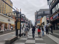 -宝健路步行街(Pedestrian Shopping Street)