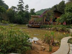 -云溪植物园