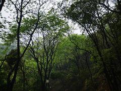 -岳麓山风景名胜区