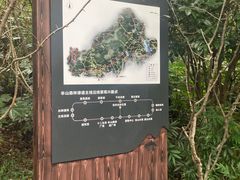 -杭州半山国家森林公园