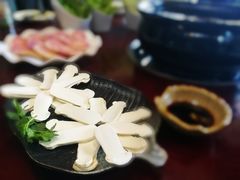 -蘑统田下·野生菌火锅