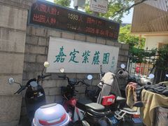 -嘉定紫藤园