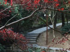 -穹窿山景区