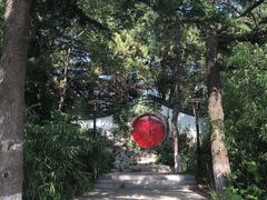 -南山公园