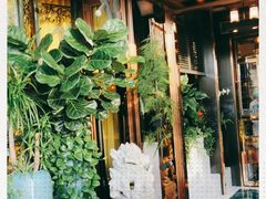 -润园四季椰子鸡火锅(海上世界店)