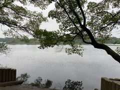 -东湖落雁景区