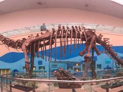 -陕西自然博物馆