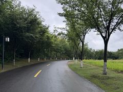 -天目湖涵田度假村