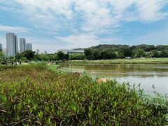 -牛岗山公园