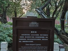 -北京市劳动人民文化宫(太庙)