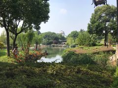 -苏州吴宫泛太平洋酒店