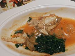 -沈灶河豚宴·河豚融合餐厅(汉中路店)