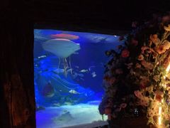 -沈阳海洋探索中心