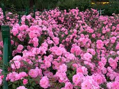 -长春公园(普阳街道)