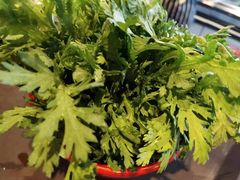 茼蒿-潮火锅·麻辣牛肉火锅(观音桥方圆·LIVE店)
