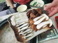 -蘑统田下·野生菌火锅