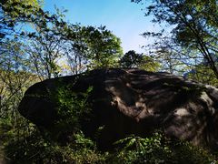 -云岫谷游猎自然风景区