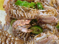 -贞姨美食·老字号海鲜大排档