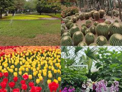 -石家庄市植物园