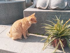 -福州开元寺