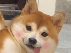-汇德隆银隆
