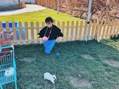 -安德鲁户外烧烤帐篷营地(马泉营店)