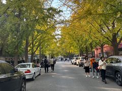 -三里屯东五街银杏大道
