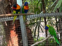 -大连森林动物园