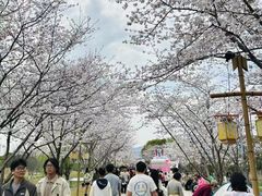 -长田漾湿地公园