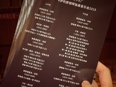 -合肥大剧院